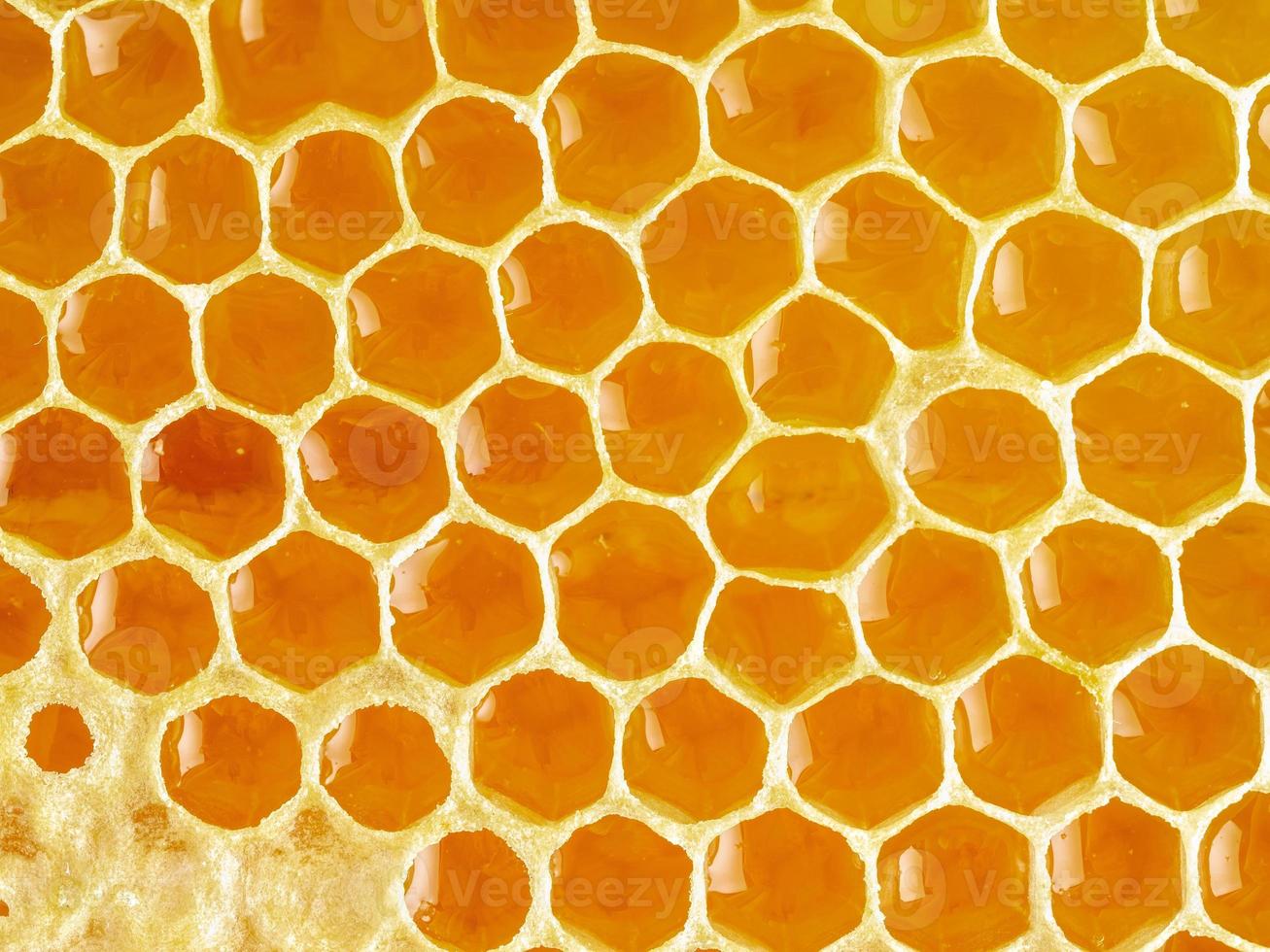 closeup de favo de mel de abelha, mel doce gotejamento fibroso fresco, fundo macro foto