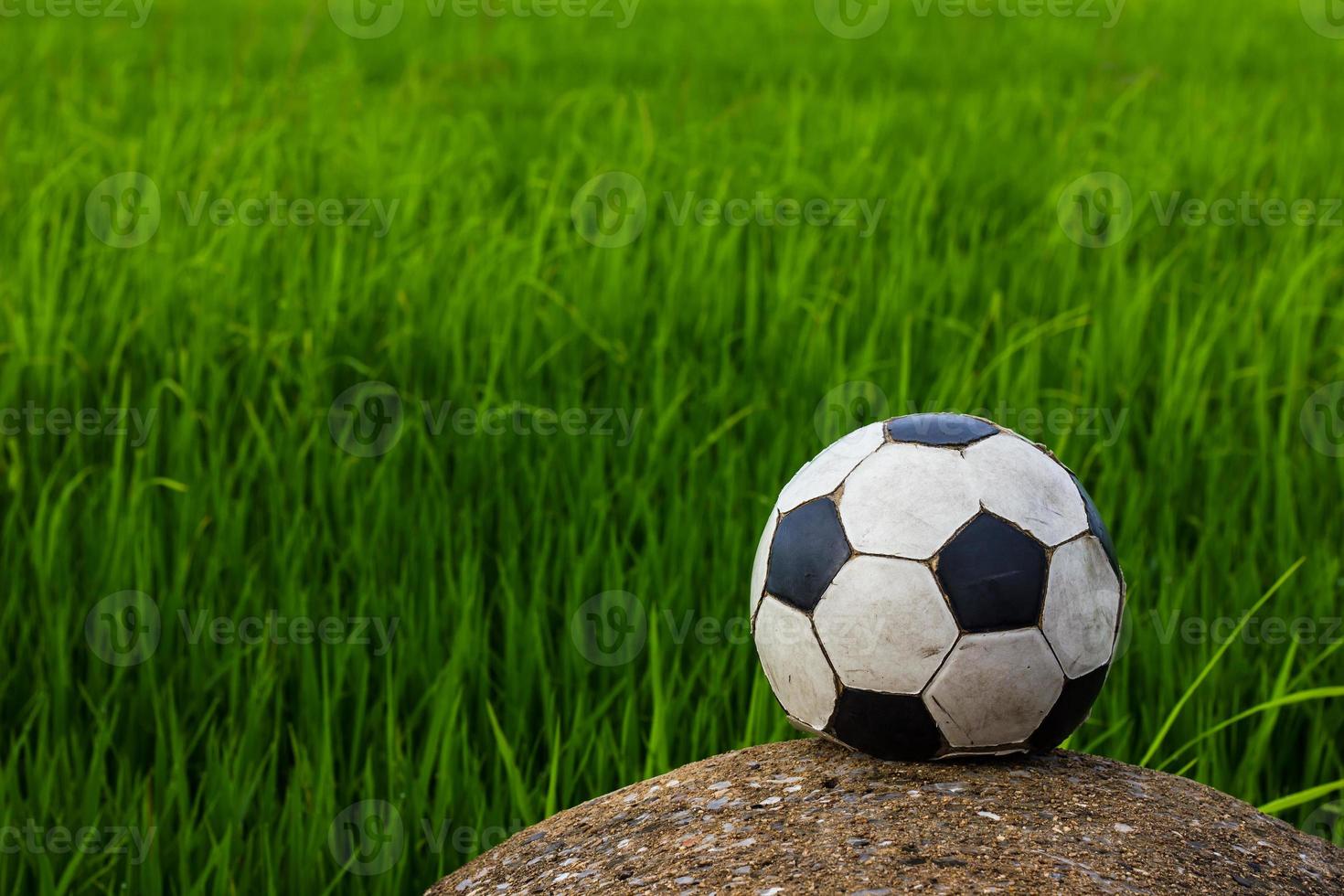 folhas velhas de futebol e borrão verde. foto