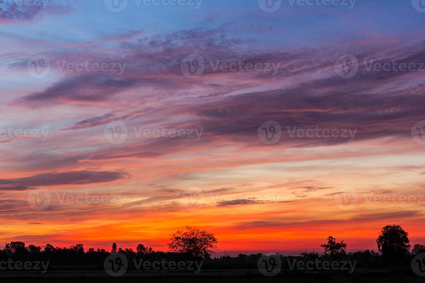 campo de céu colorido amanhecer. foto