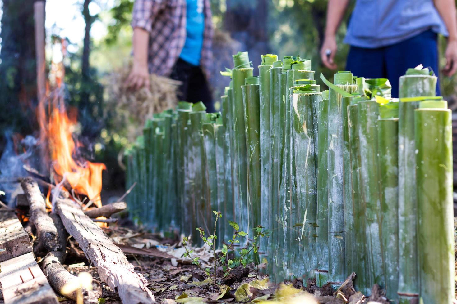 arroz glutinoso cozido em um cilindro de bambu. foto