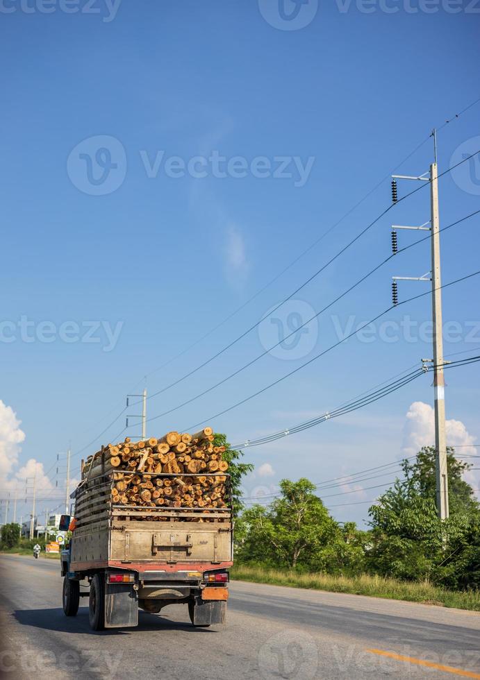 a vista traseira de um veículo carregando toras de eucalipto na estrada durante o dia. foto