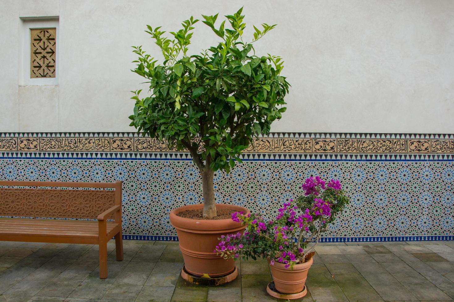 parque de estilo oriental com plantas e parte da arquitetura turca foto