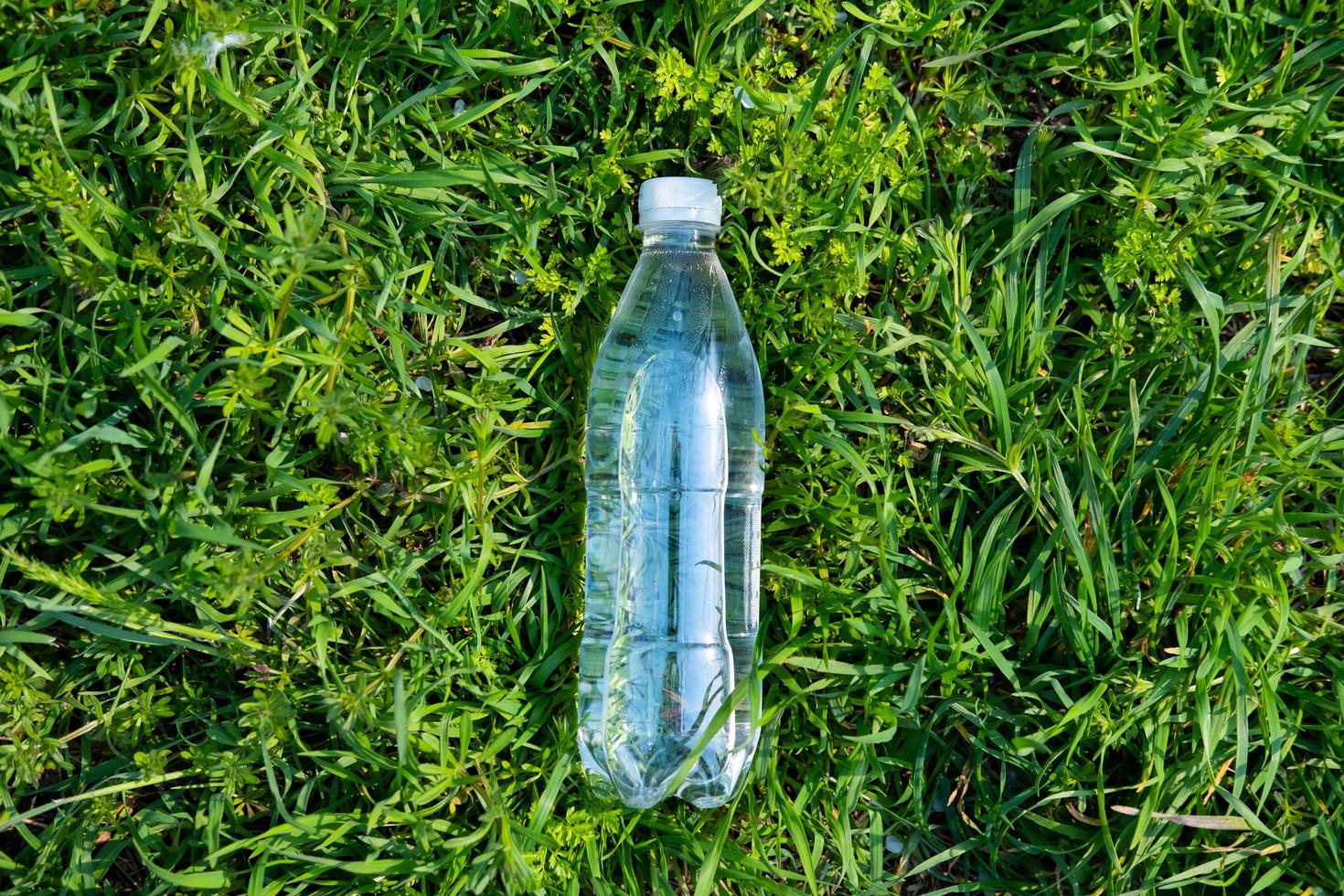 garrafa plástica de água fresca na grama verde foto