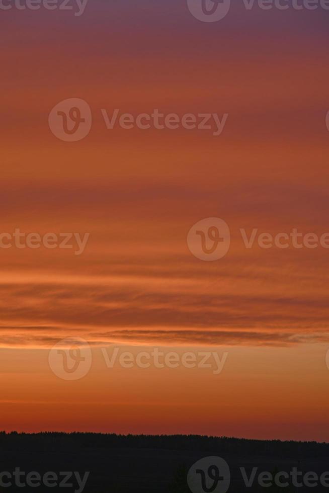 pôr do sol da noite vermelho e azul sobre a floresta foto