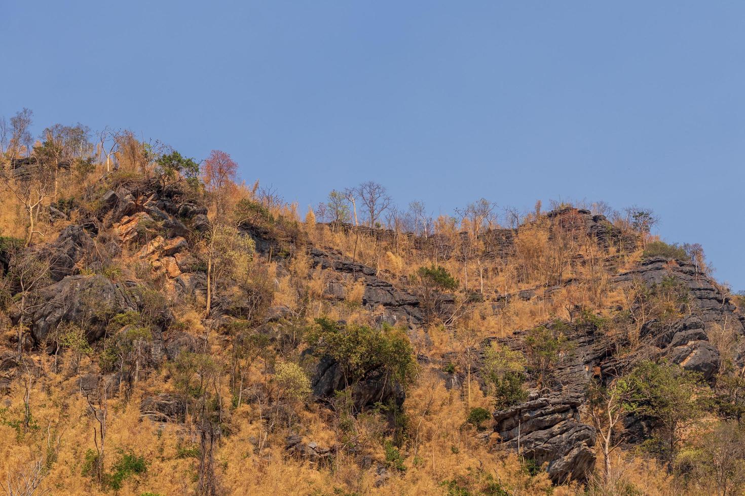 topos de montanhas rochosas e seca. foto