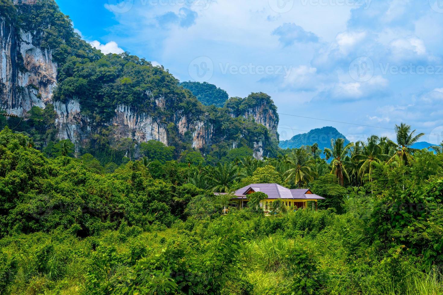 paisagem com palmeiras e penhascos de rochas, khlong phanom nacional pa foto