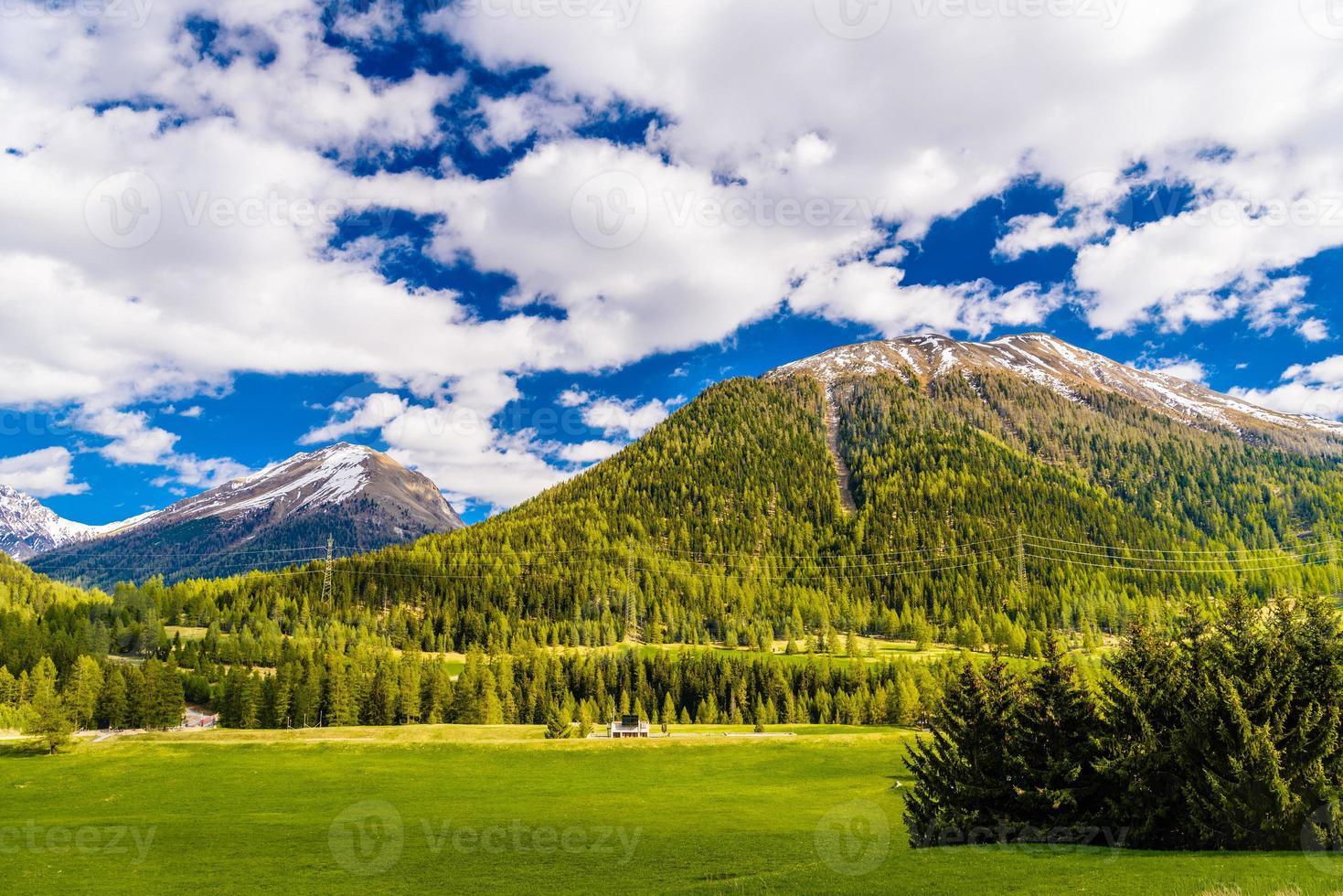 campos verdes e montanhas dos Alpes cobertos de floresta, Samedan, m foto