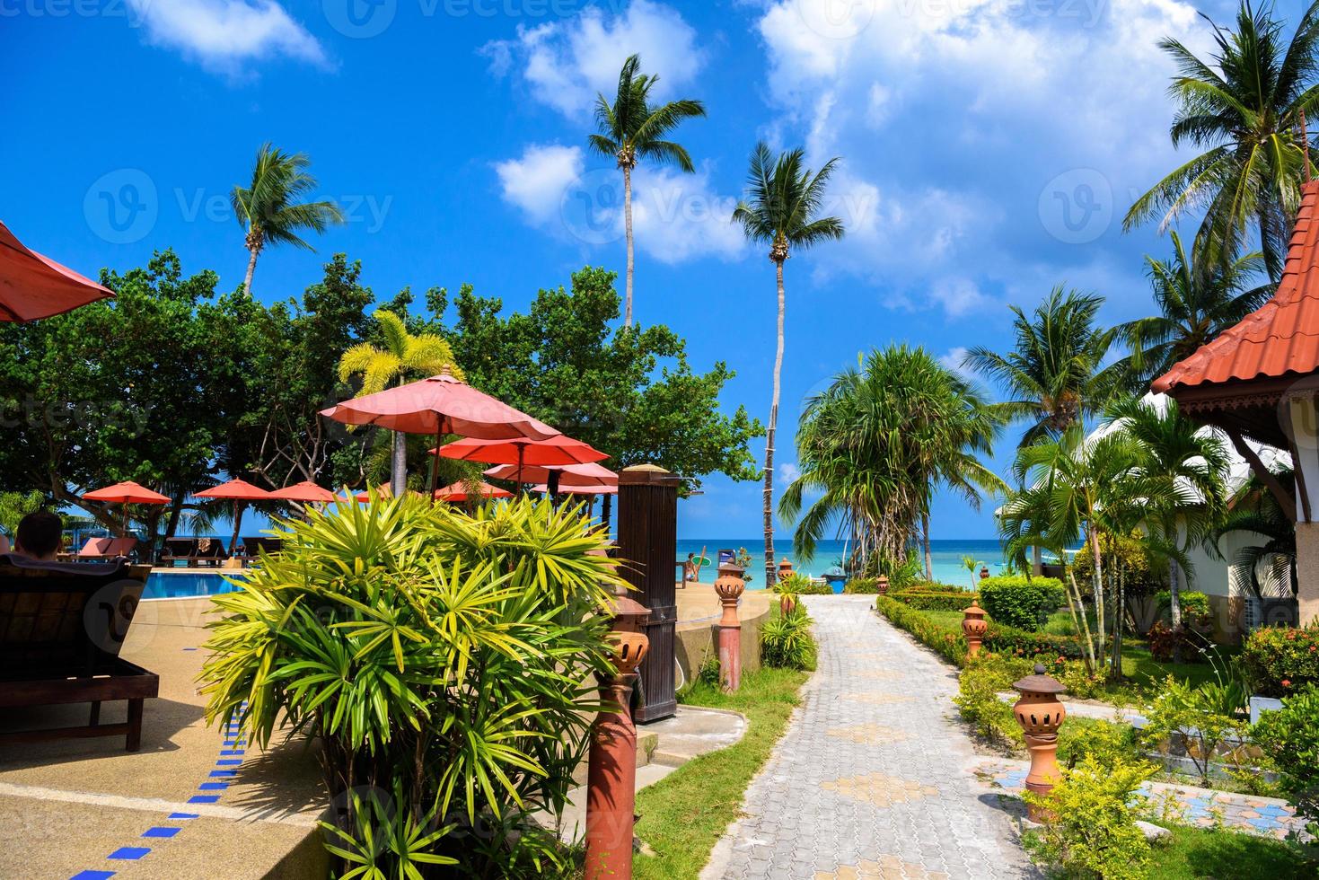 bangalôs e palmeiras, praia de haad yao, ilha de koh phangan, suratth foto