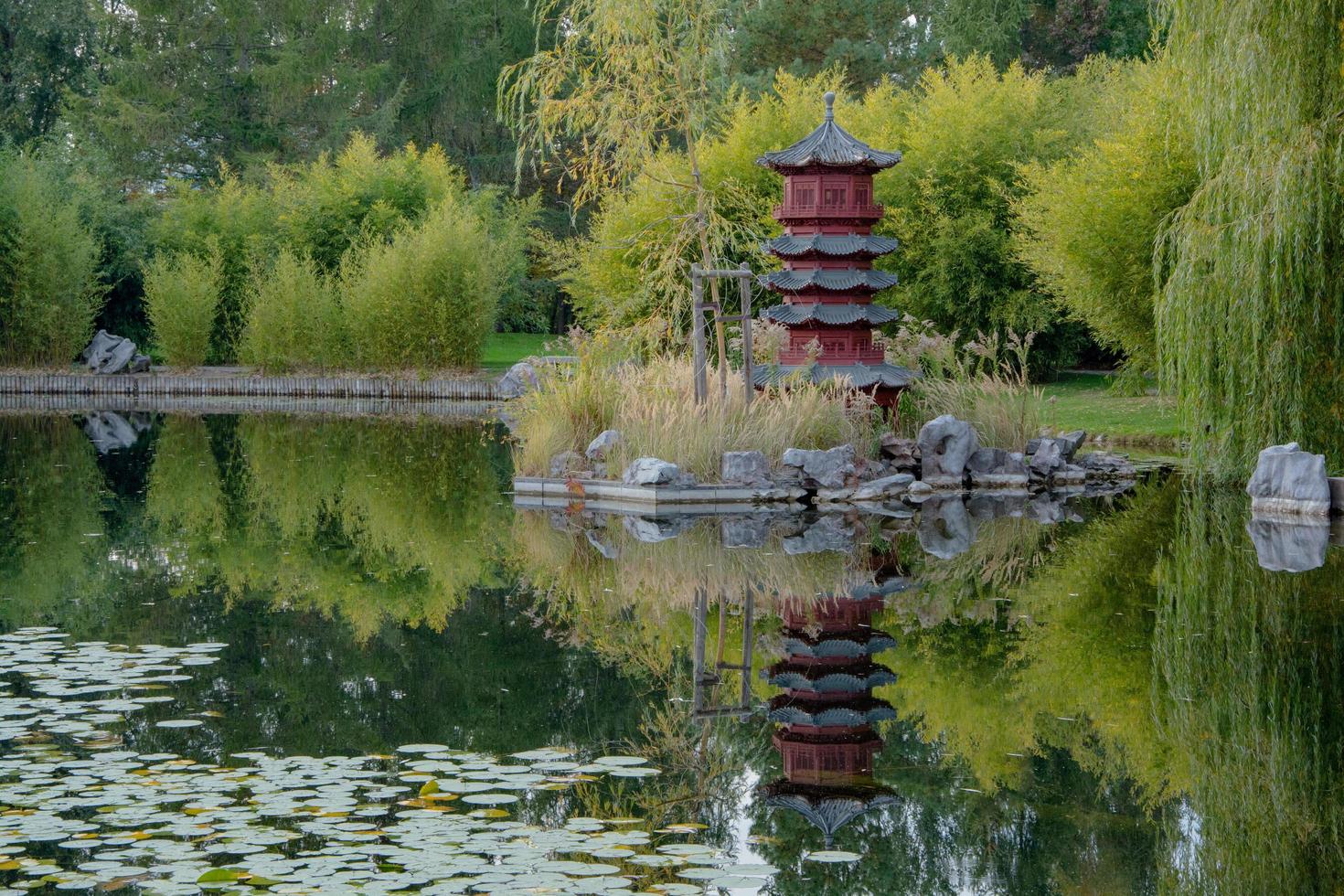 jardins do mundo, jardim chinês foto