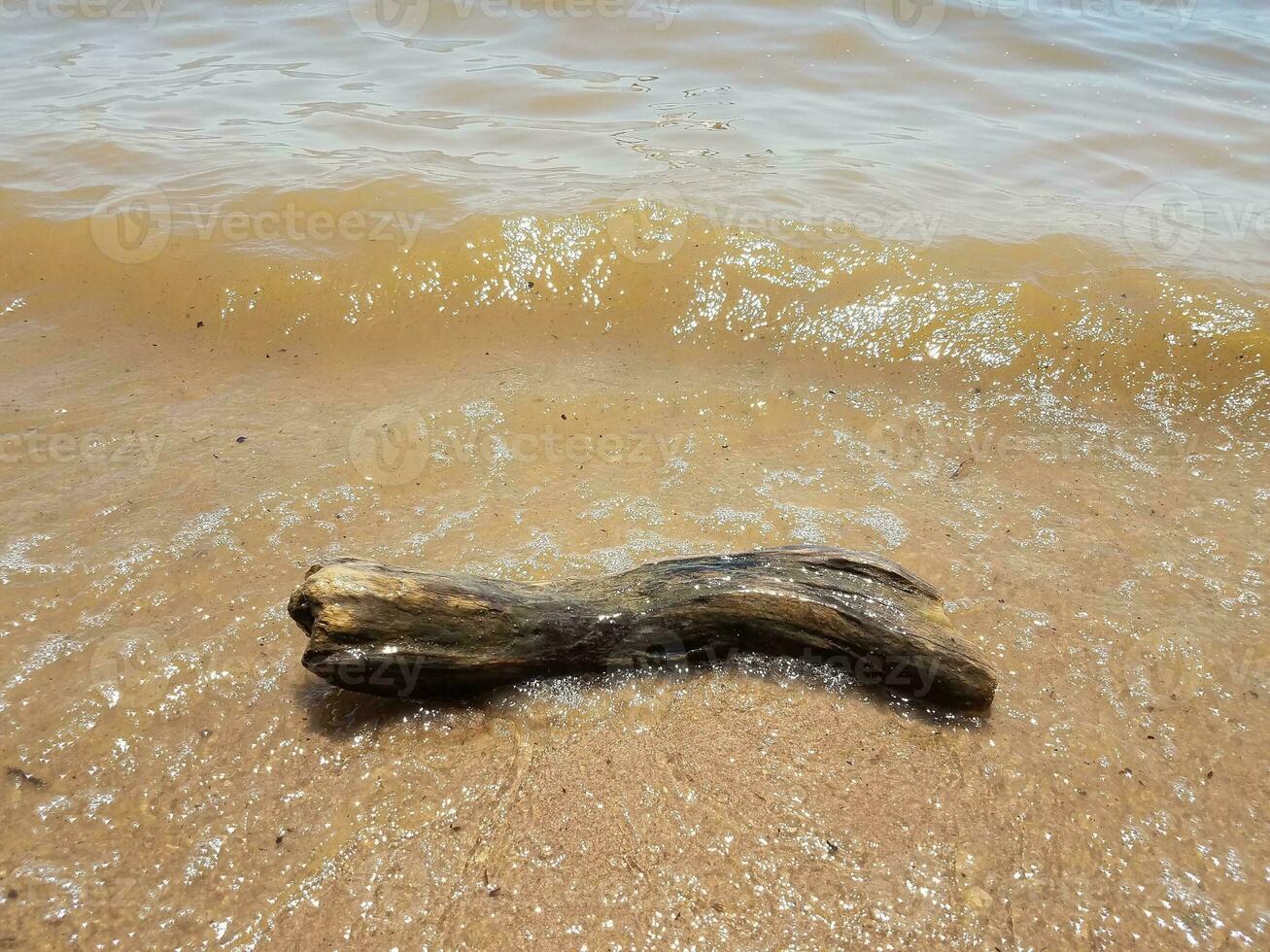 areia com ondas e pedras e troncos foto