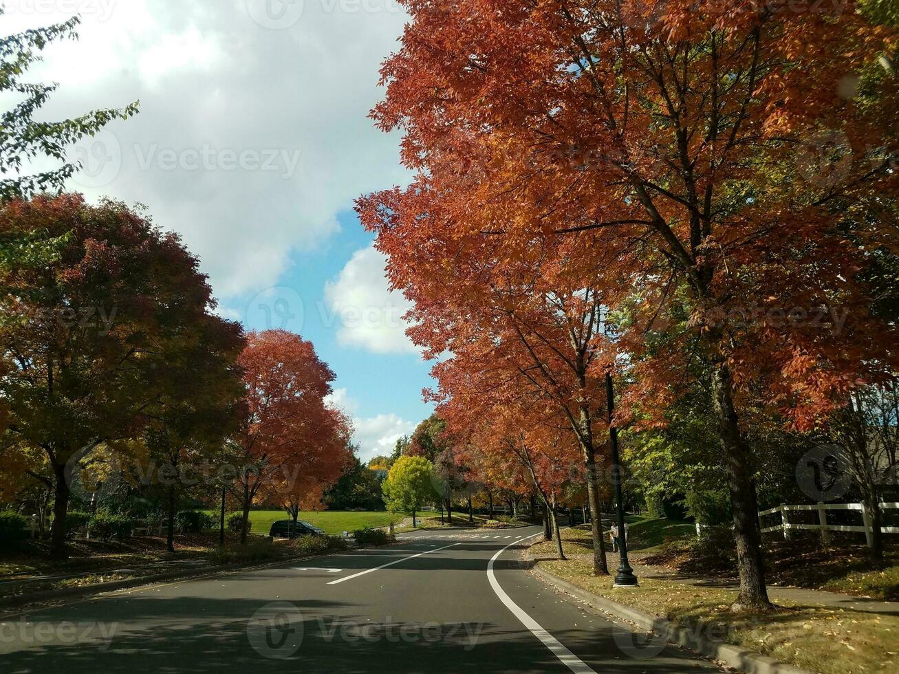 rua de asfalto com árvores e folhas laranja e vermelhas foto