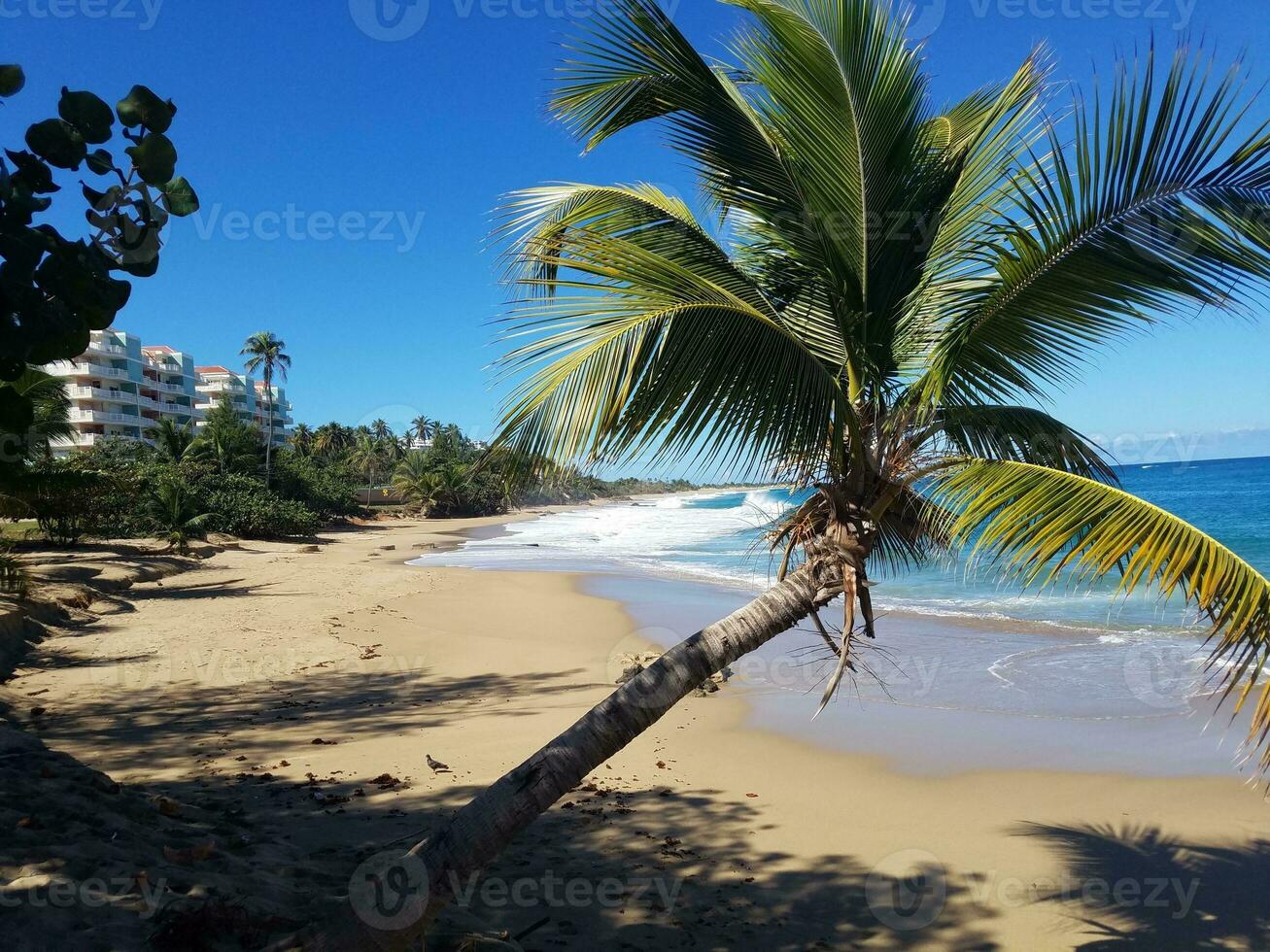 areia e água do mar na praia de isabela, porto rico foto