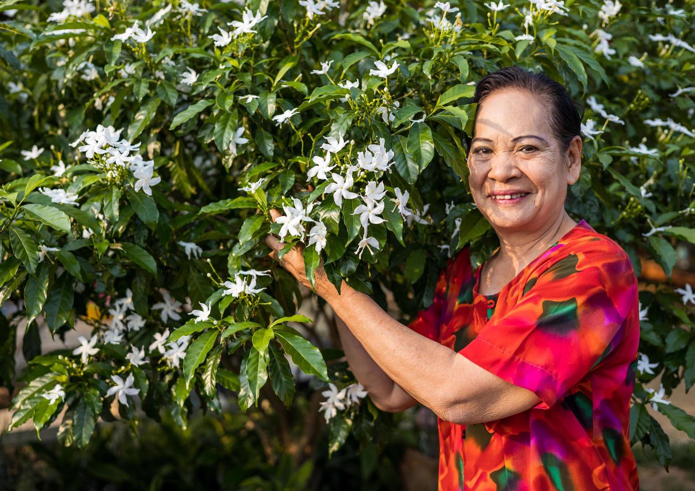 o retrato de uma mulher idosa tailandesa em pé e sorrindo segurando flores em um jardim. foto