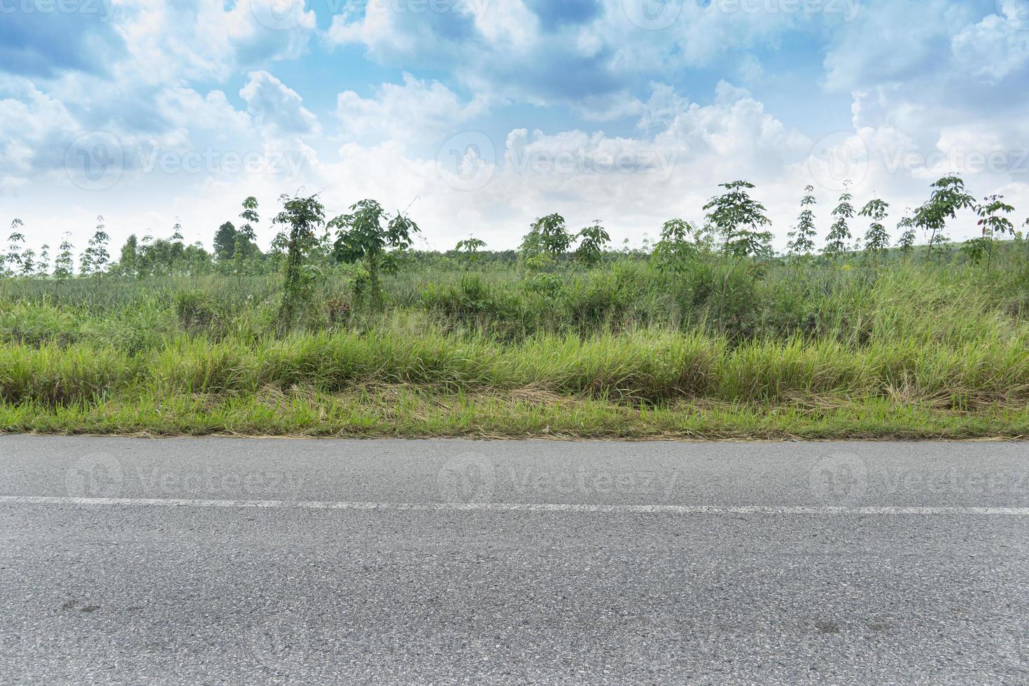 vista horizontal da estrada de asfalto na tailândia. fundo de grama verde e seringueiras jovens. sob o céu azul. foto