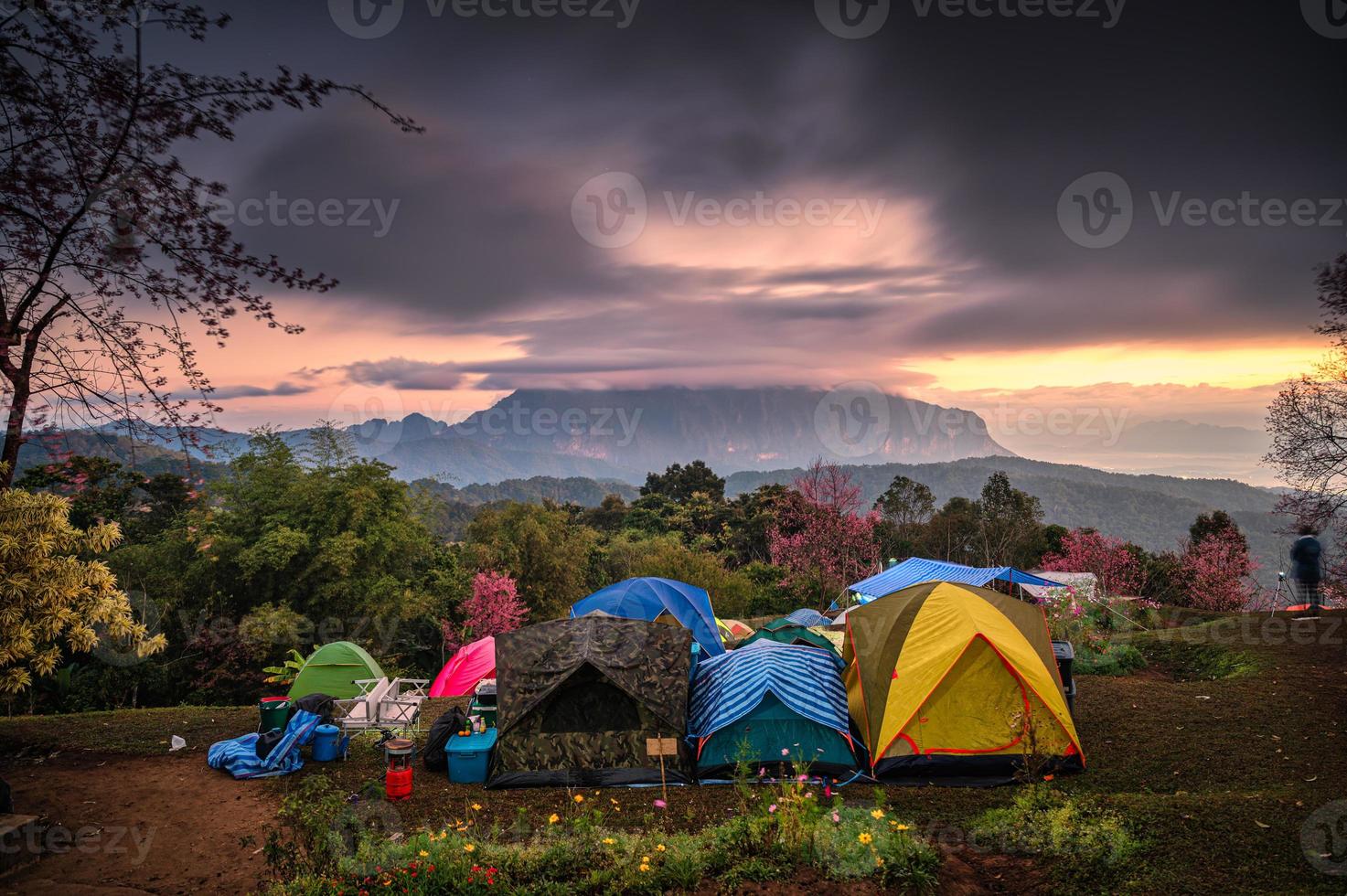 tendas turísticas armando esperando o nascer do sol na montanha doi luang chiang dao com floresta nublada e primavera no parque nacional foto