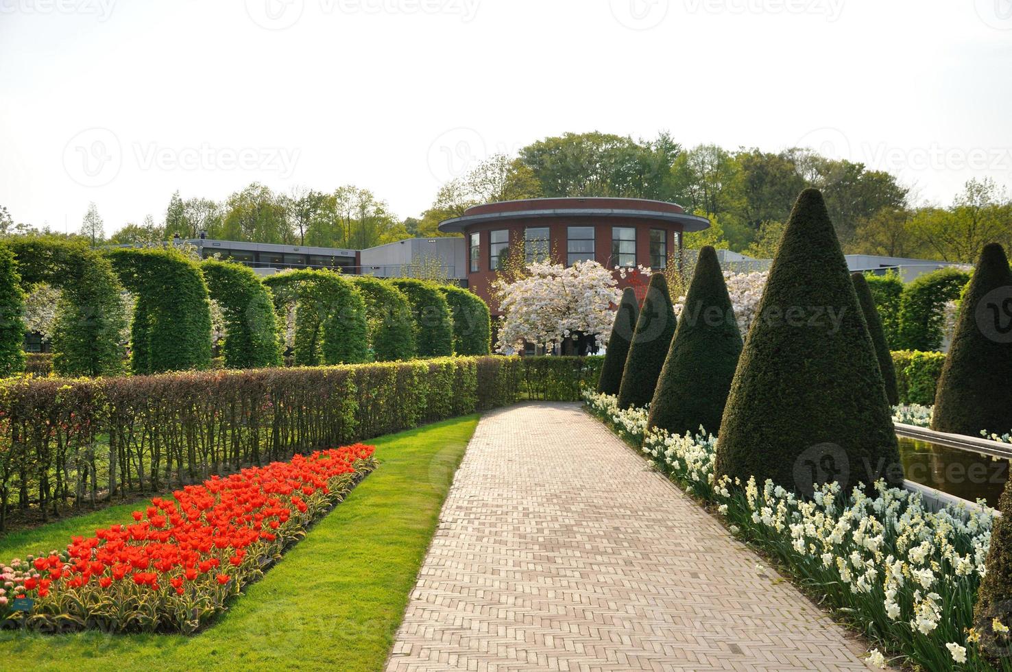 jardim com arbustos, flores vermelhas e brancas e árvores no parque keukenhof na holanda foto