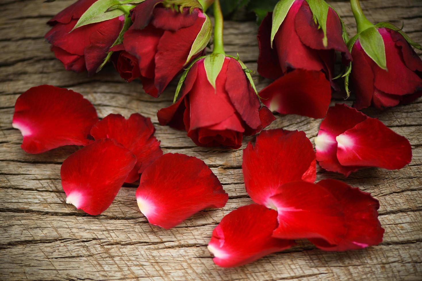 buquê de flores de rosas vermelhas em um fundo de madeira rústico - flores, pétalas de rosa, amor romântico, conceito de dia dos namorados foto