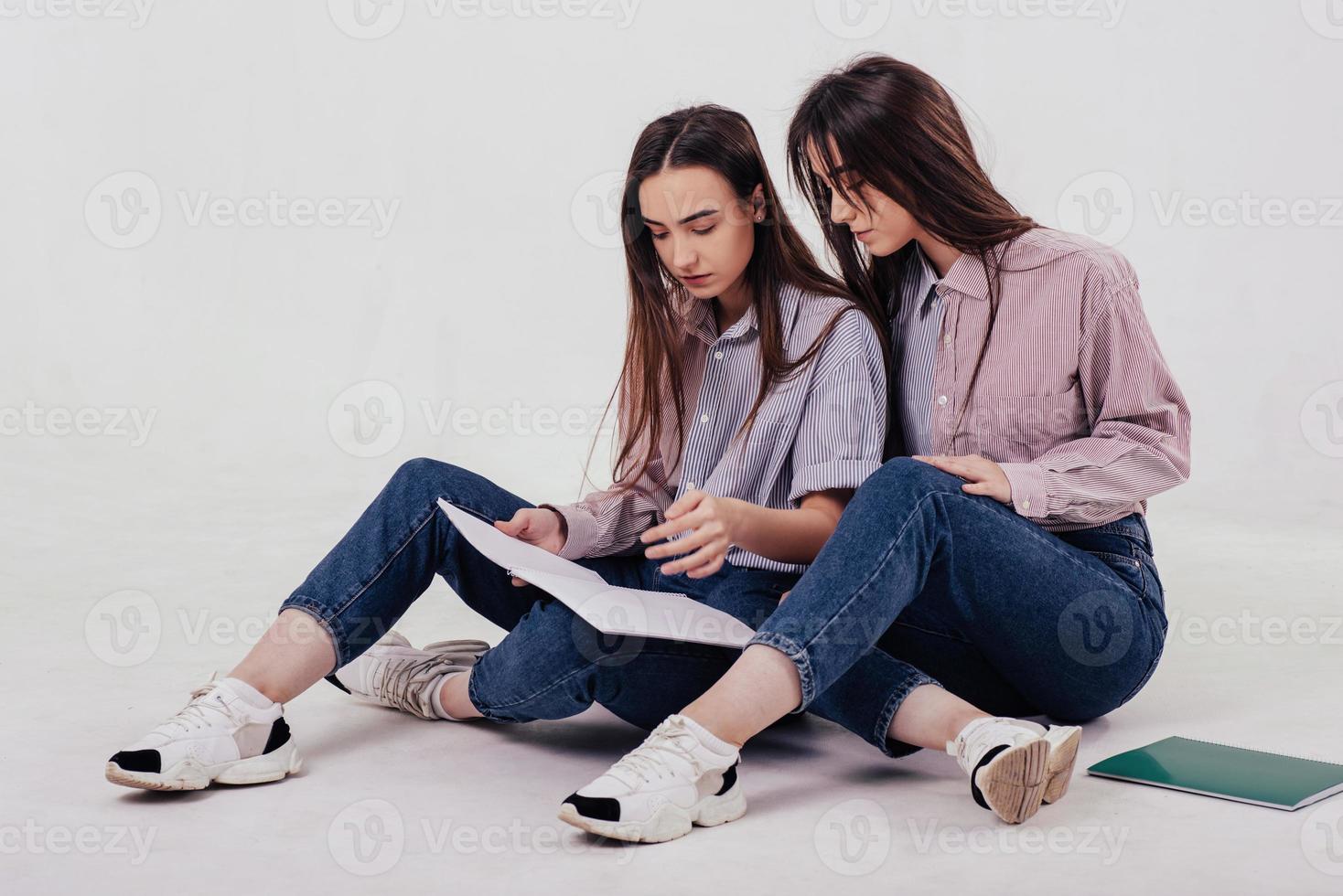 Meninas Lindas Duas Irmãs Gêmeas Sentadas E Posando No Estúdio Com Fundo  Branco Imagem de Stock - Imagem de profissional, humano: 165767723