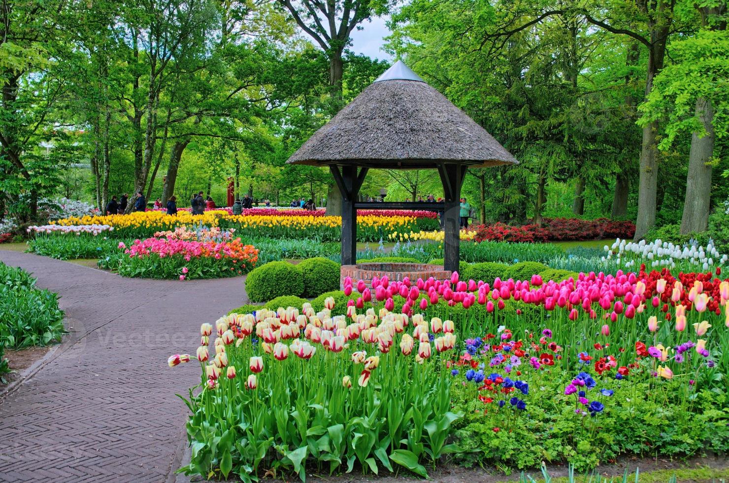 bem com tulipas coloridas no parque keukenhof, lisse na holanda foto