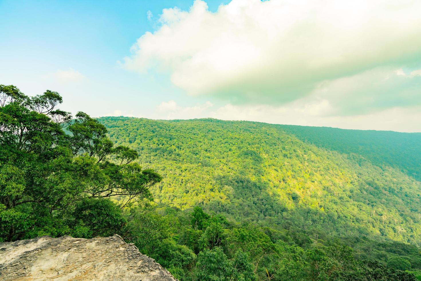 bela vista da floresta tropical em penhascos de pha diao dai do parque nacional de khao yai na tailândia. património Mundial. árvores altas densas verdes na montanha e céu azul e nuvens cumulus. foto