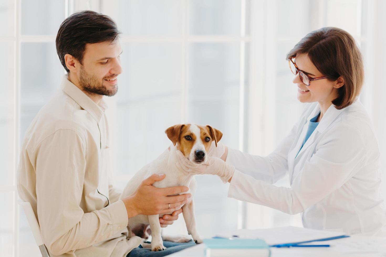 jovem veterana examina o cão jack russel terrier, trabalha na clínica de animais, fala com o dono do sexo masculino, pose no interior. cão de pedigree examinado por veterinário profissional. exames médicos para animais foto