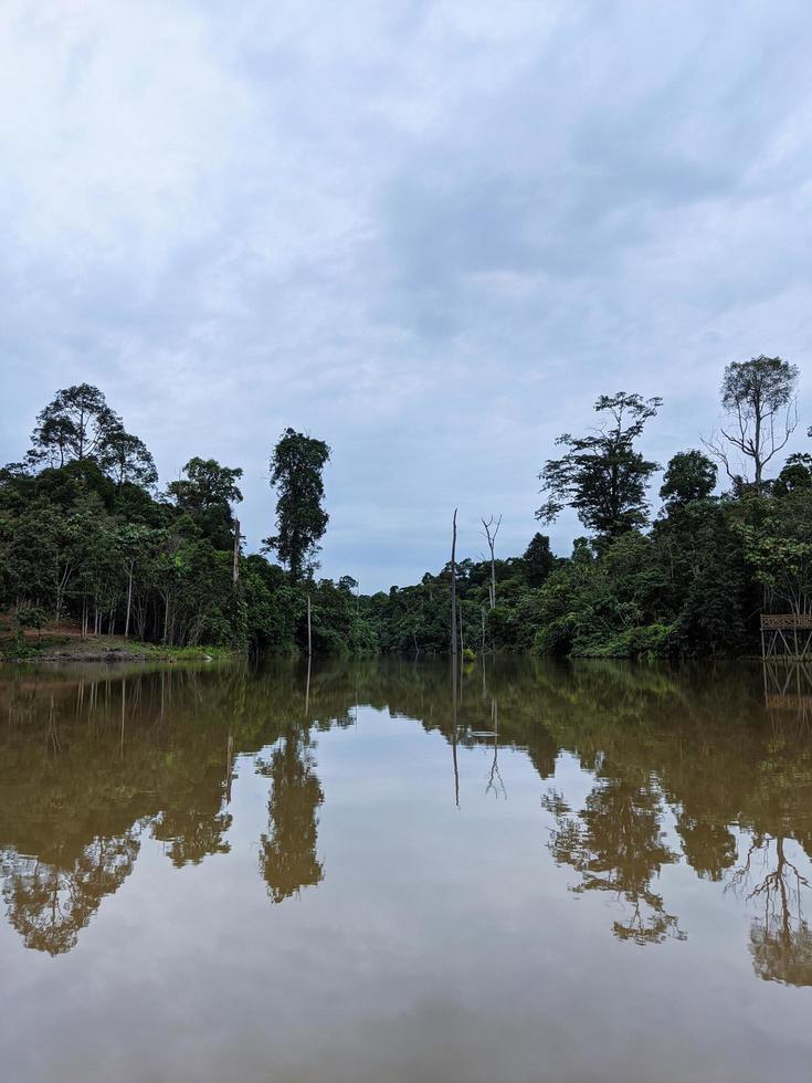 foto do lago e da floresta