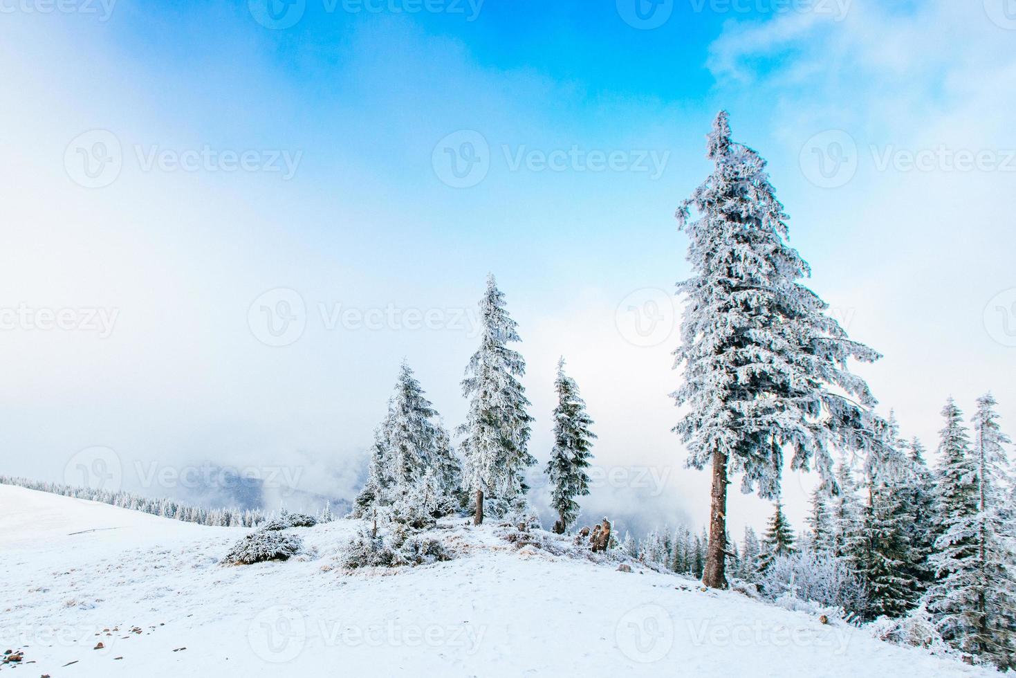 maravilhosa paisagem de inverno foto