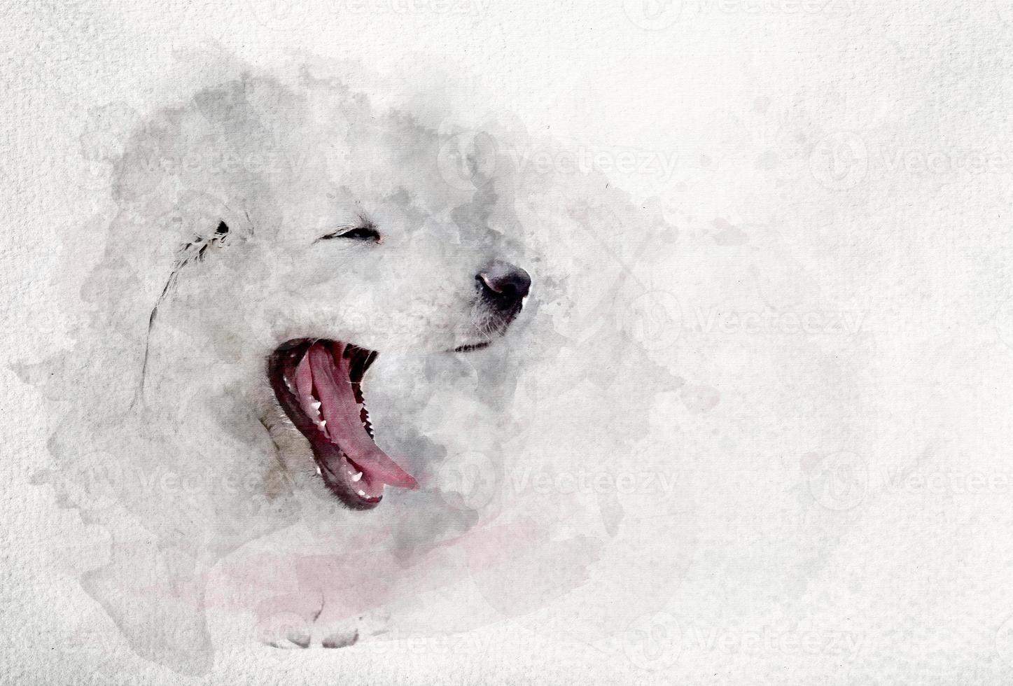 imagem em aquarela de cachorrinho branco bocejando. foto
