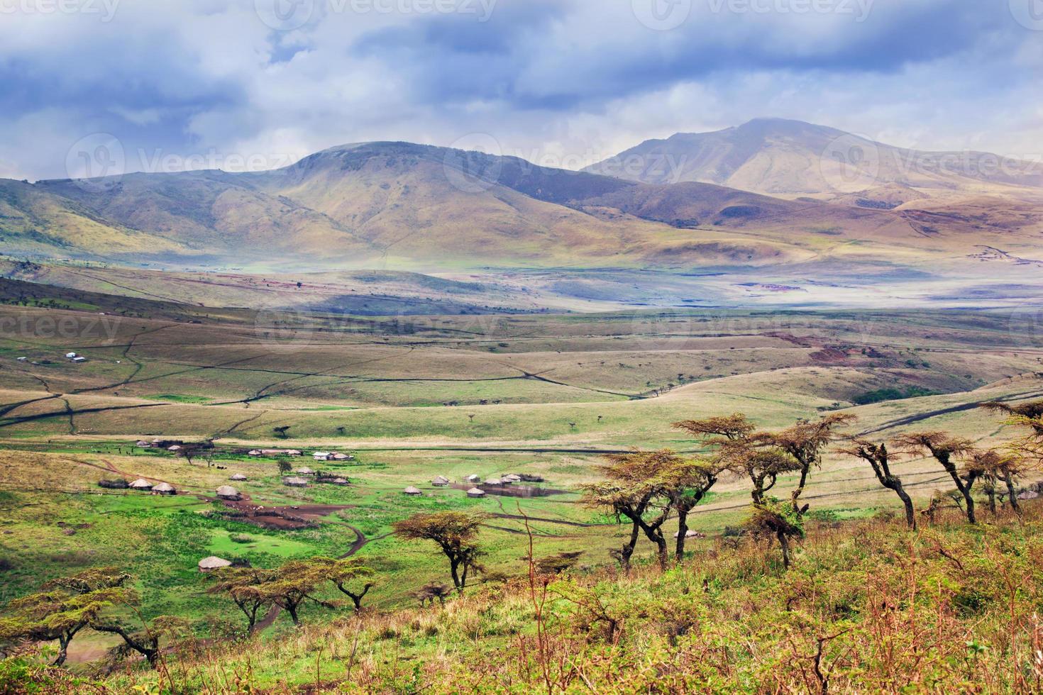 paisagem de savana na Tanzânia, África foto