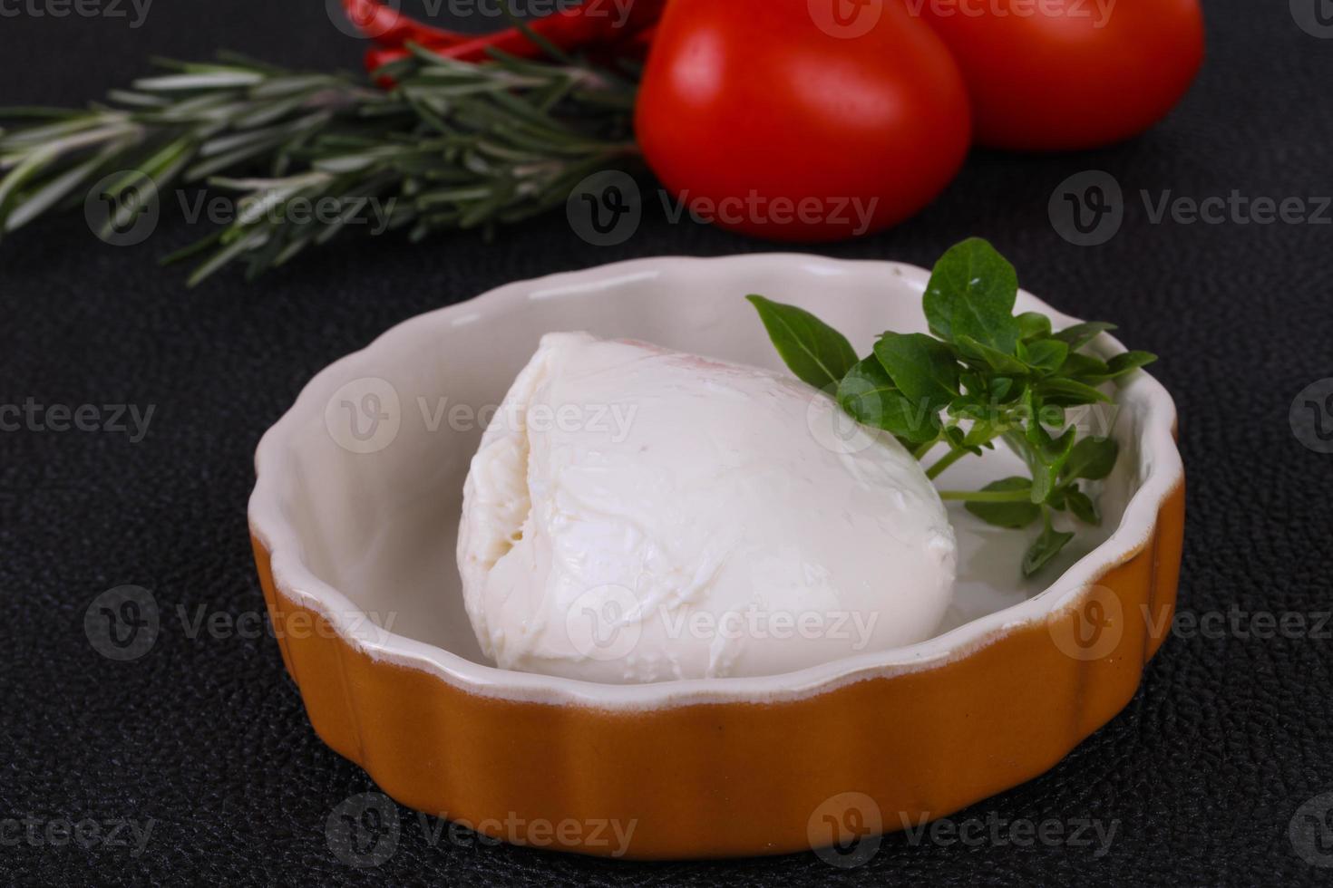 bola de queijo mussarela italiana foto