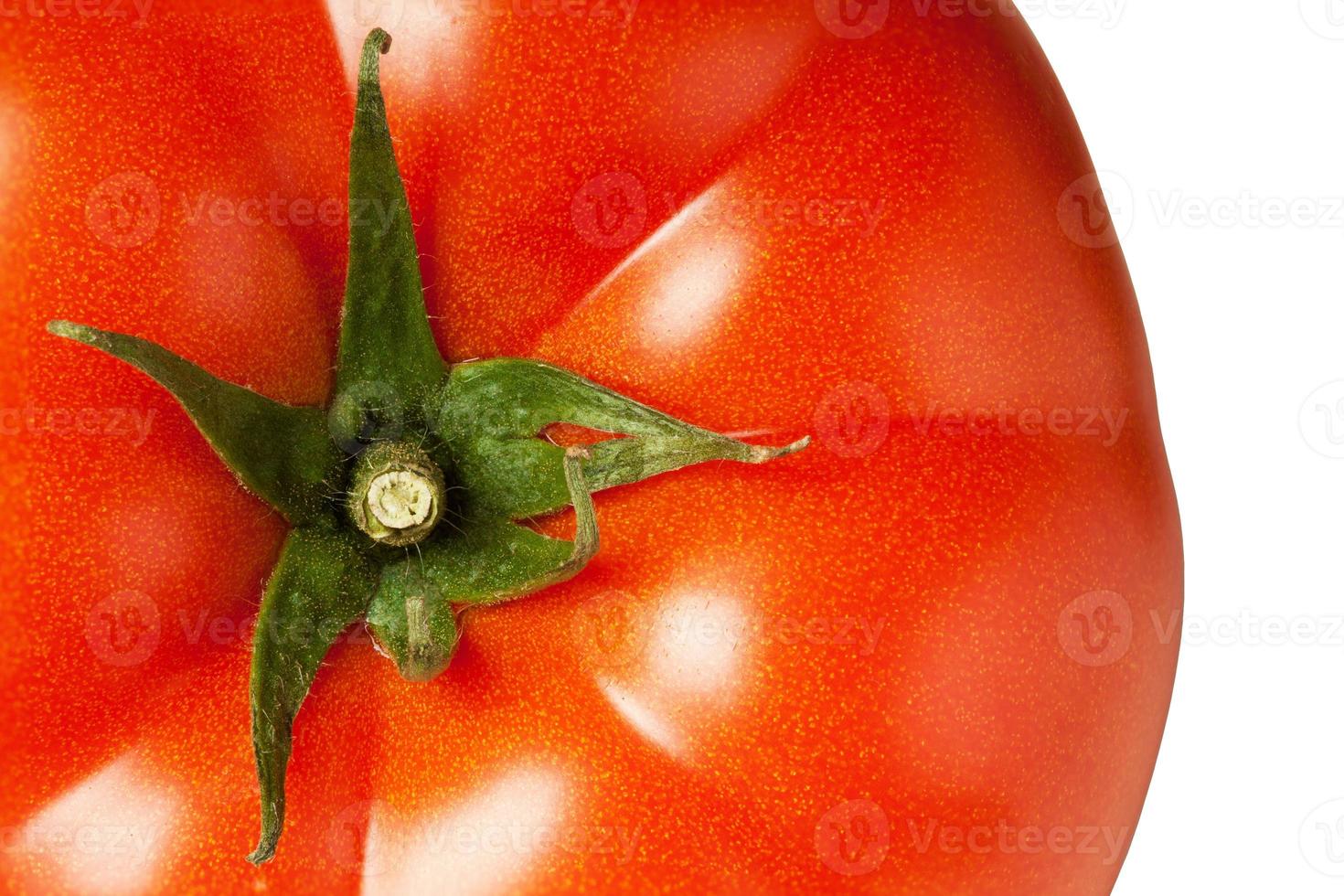 tomate foto