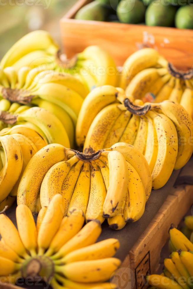 variedade de bananas maduras foto