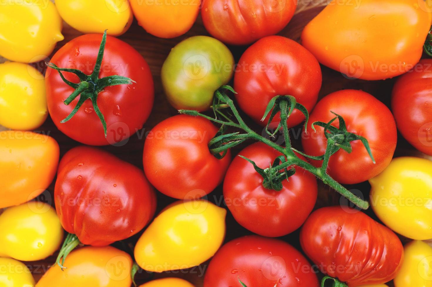 tomates orgânicos coloridos maduros foto