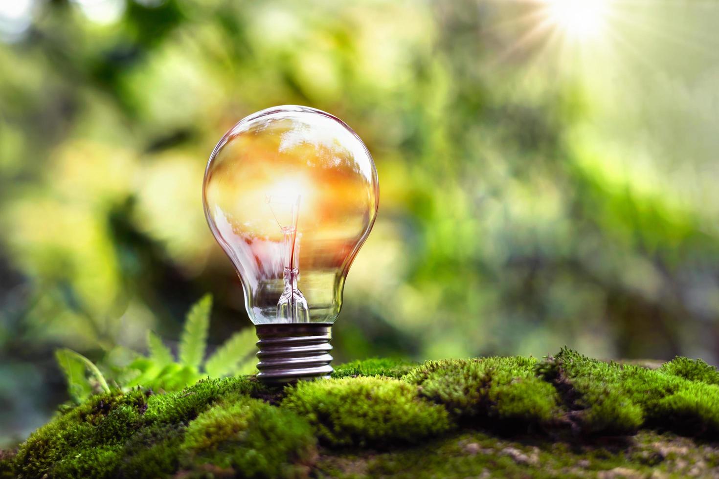 lâmpada na grama verde e luz solar na natureza. conceito de economia de energia foto