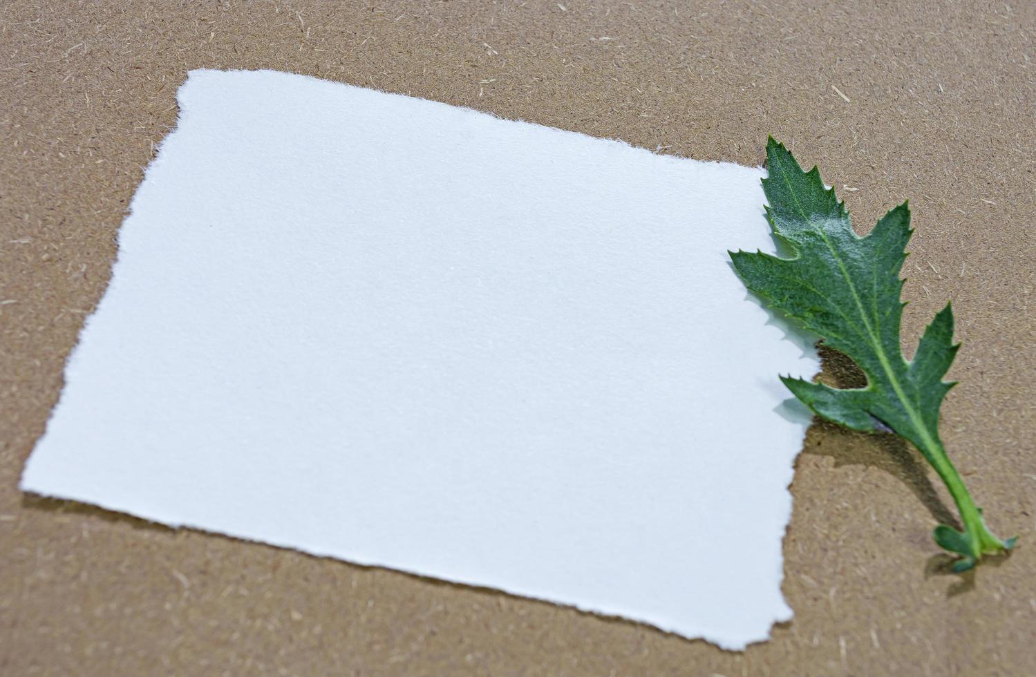 papel branco na superfície de madeira plana leiga com espaço de cópia. diretamente acima. foto