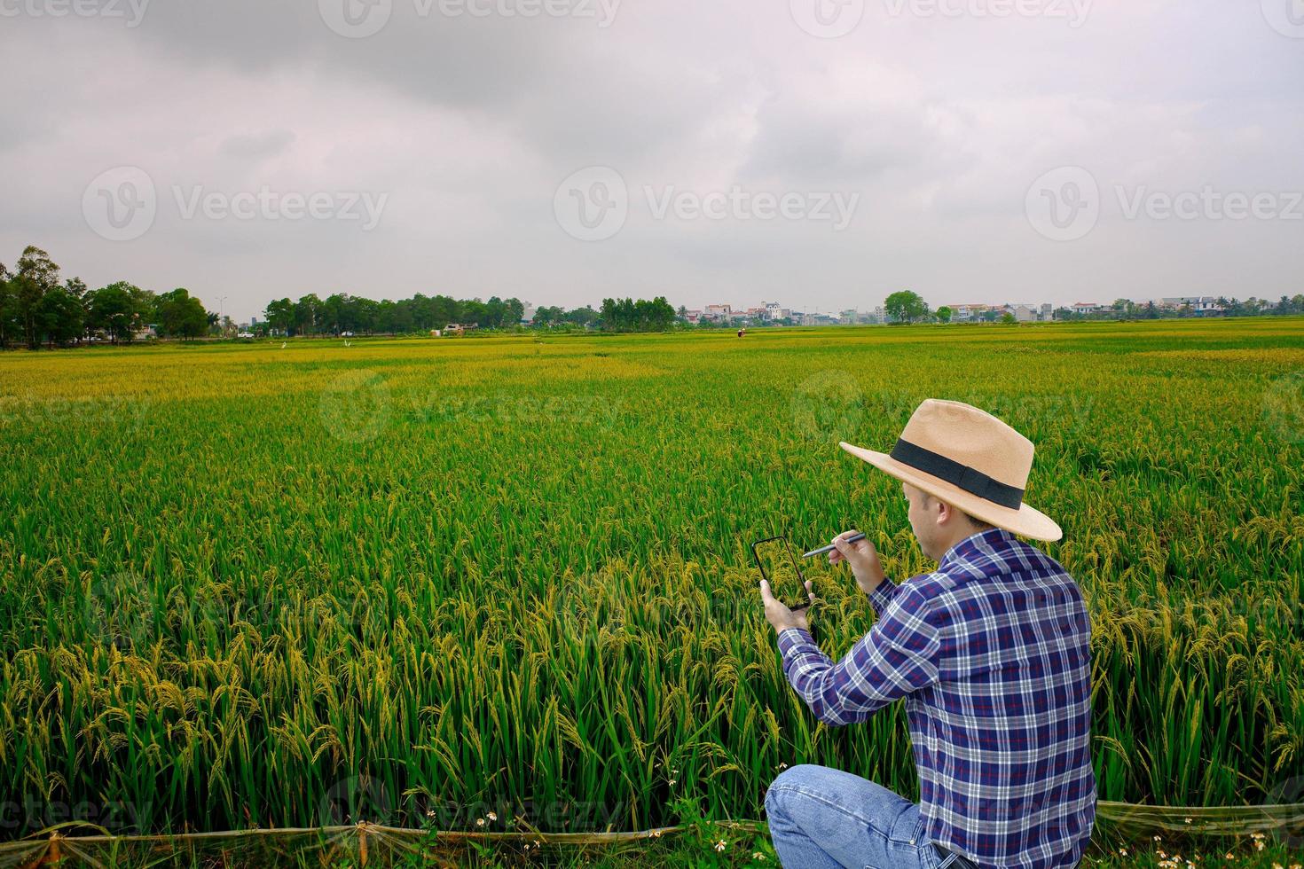 agricultura inteligente. homem agricultor de tecnologia agrícola usando dados de análise de computador smartphone ou tablet e ícone visual. foto