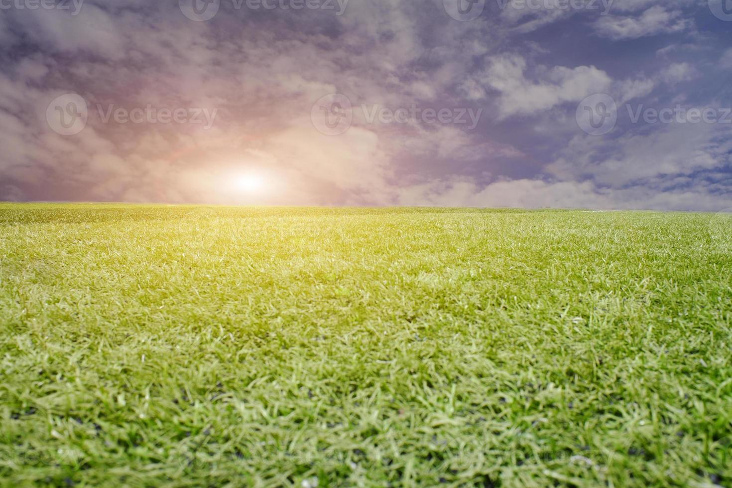 campo de grama bonito e textura de fundo de céu azul claro. foto