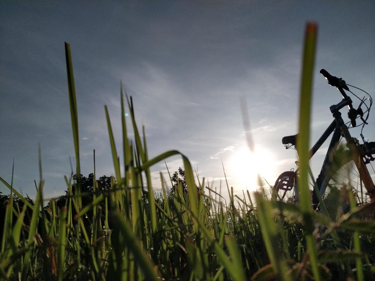 andar de bicicleta pela manhã foto