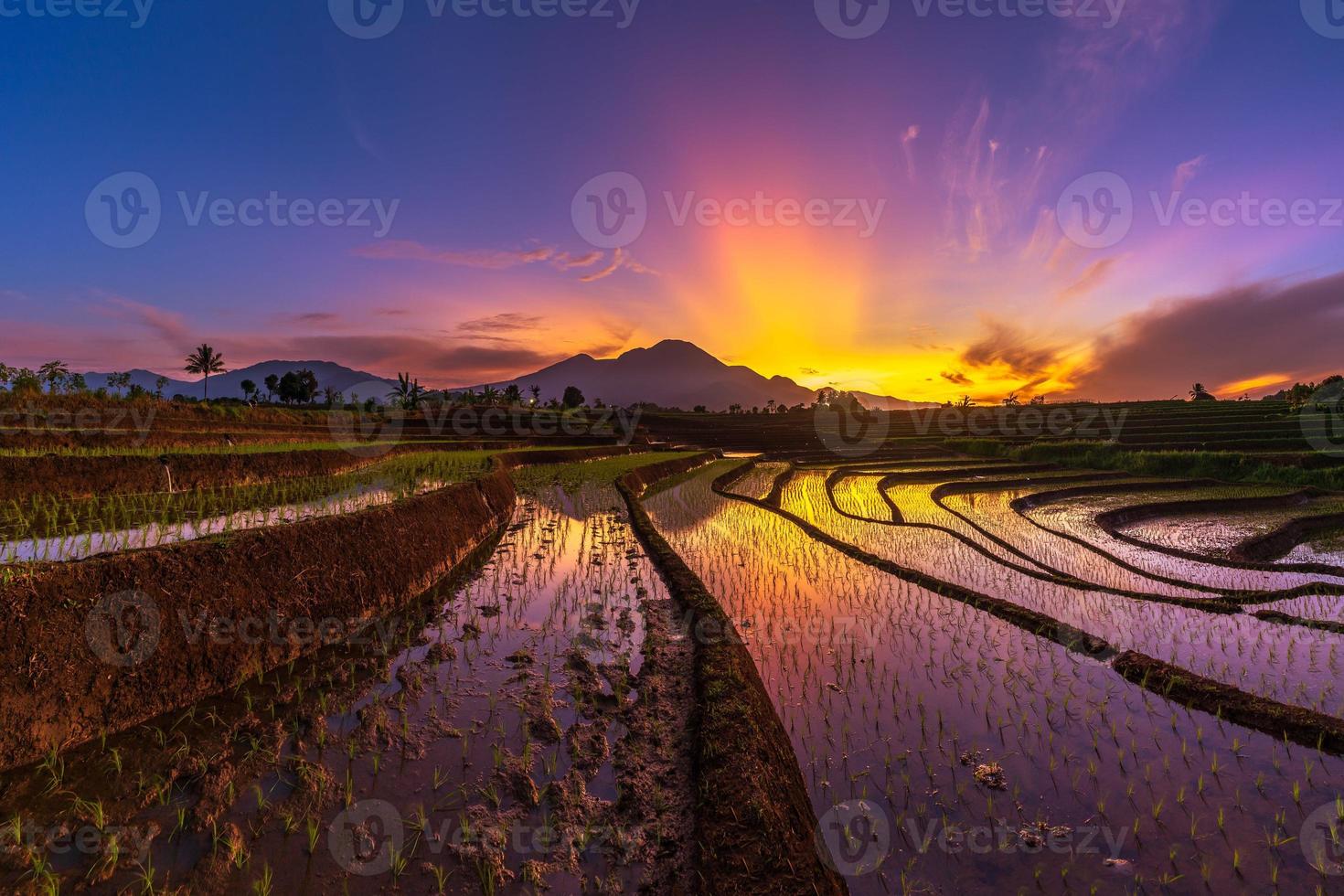 vista da manhã em campos de arroz ensolarados e bonitos e serra foto