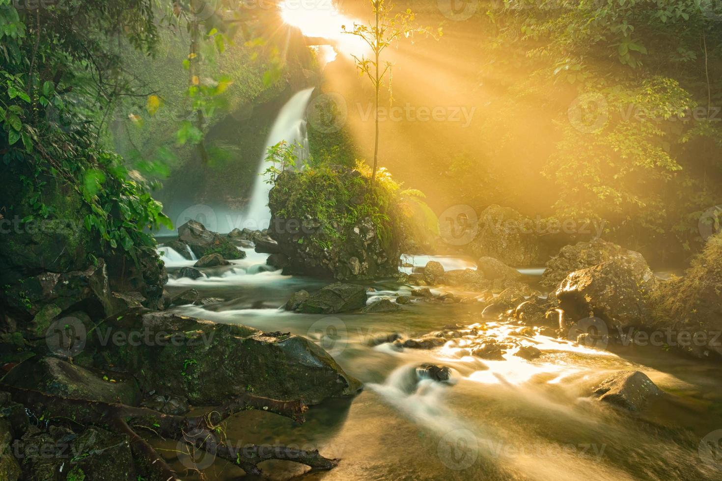 a vista da manhã na cachoeira com o sol batendo nas folhas e o beco rochoso com águas correntes muito frias foto