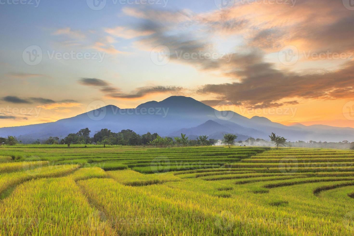 a beleza da manhã na área da vila com campos de arroz amarelados sob a linha da montanha ao nascer do sol e o lindo céu pela manhã foto