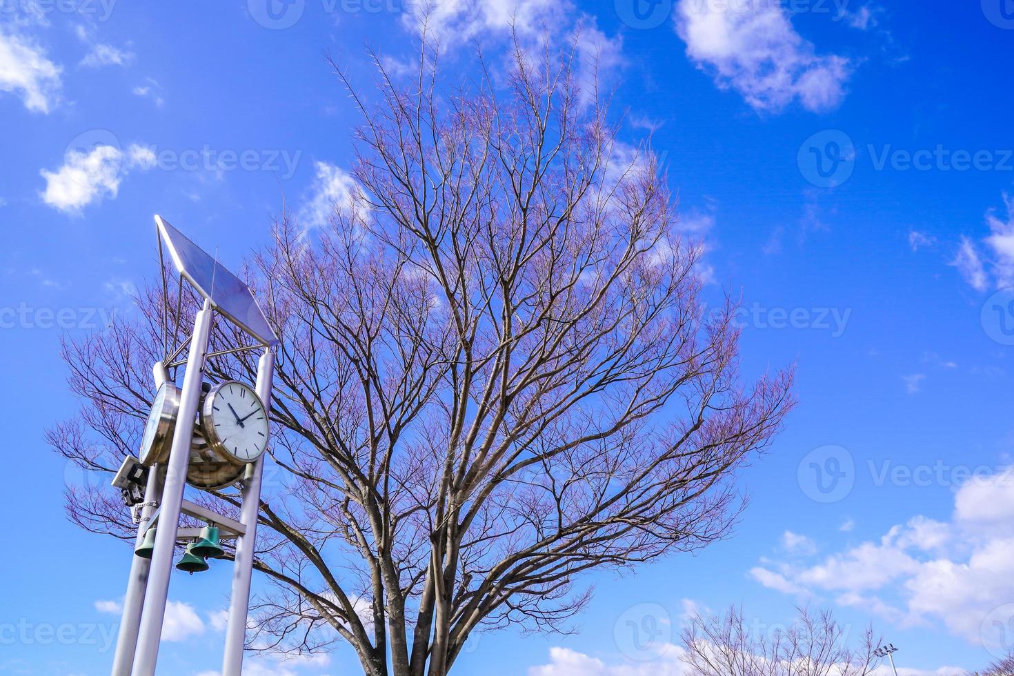 torre do relógio e árvore seca com céu claro. foto