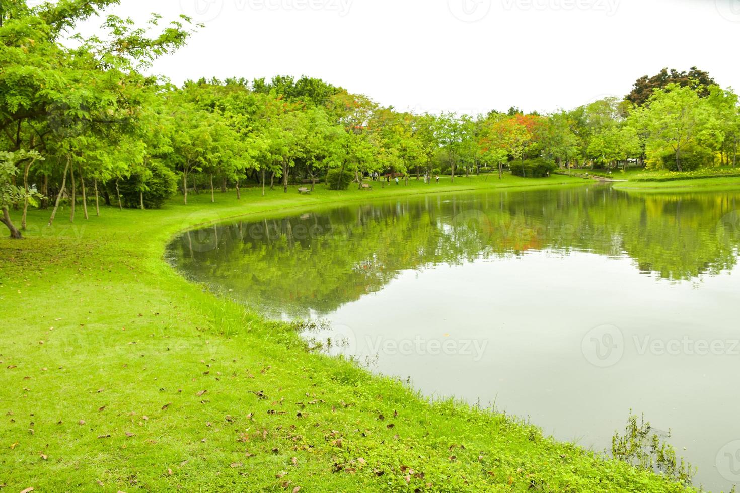 paisagem belas árvores e muitas flores em chathuchack bangkok tailândia foto