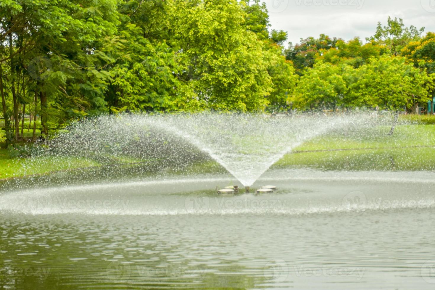 fonte decorada em um belo jardim em uma lagoa de água doce e vista para o jardim chatuchak. foto