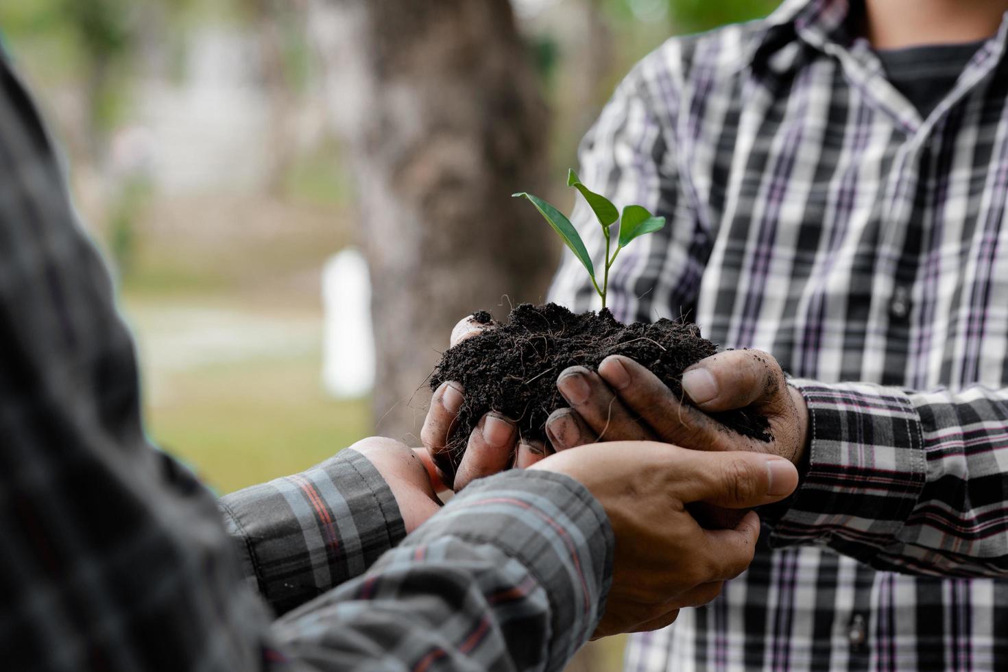 duas pessoas carregando mudas para plantar em uma floresta tropical, uma campanha de plantio de árvores para reduzir o aquecimento global. o conceito de salvar o mundo e reduzir o aquecimento global. foto