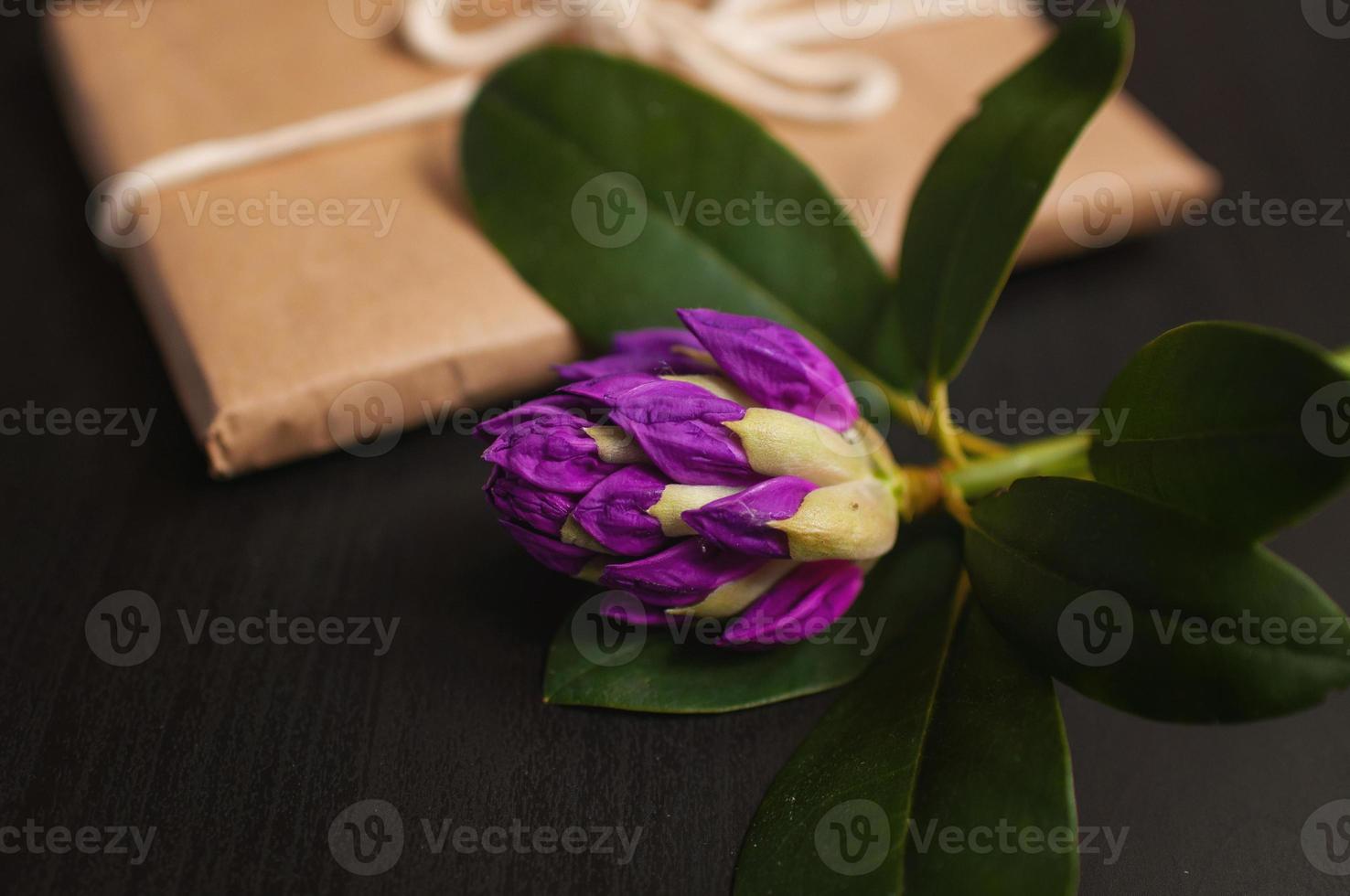 flor de azaleia roxa com um presente em um pacote de artesanato 7991684  Foto de stock no Vecteezy