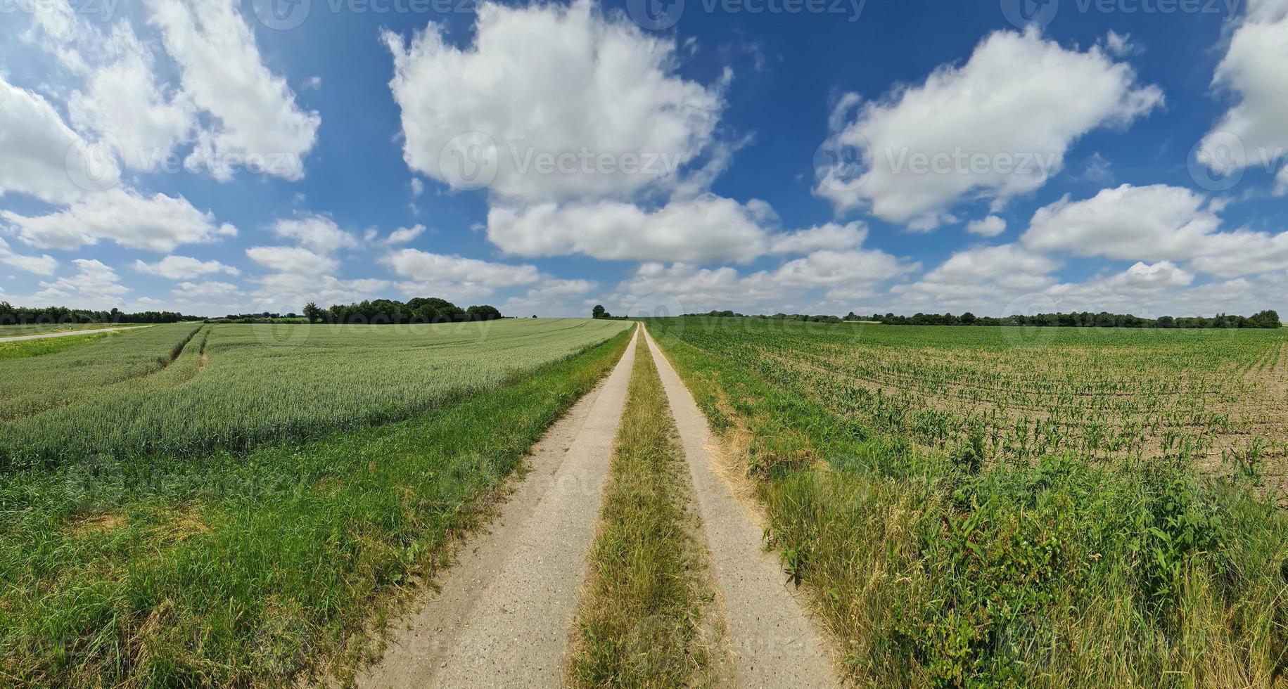 belo panorama de alta resolução de uma paisagem de país do norte da Europa com campos e grama verde foto