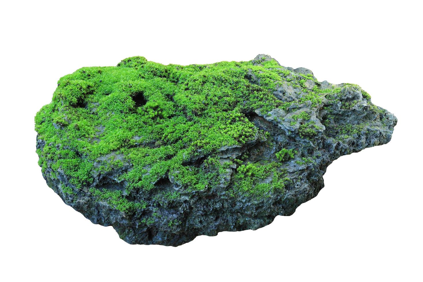 rocha coberta de musgo verde isolado no fundo branco foto