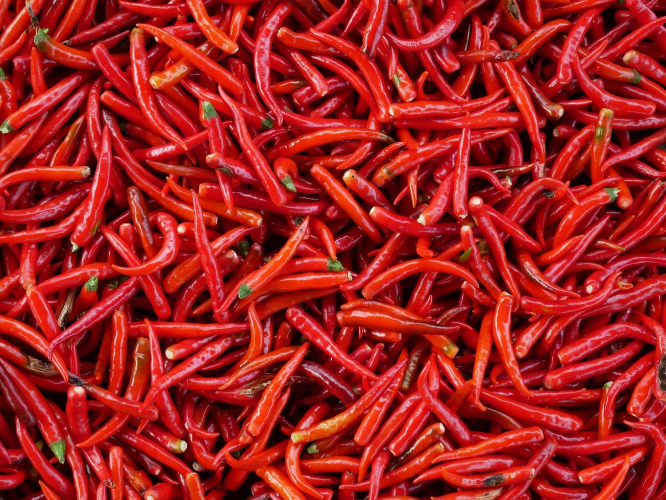 a vista superior de pimentas vermelhas secas. sabor picante. usado para temperar curry e tom yum. foto