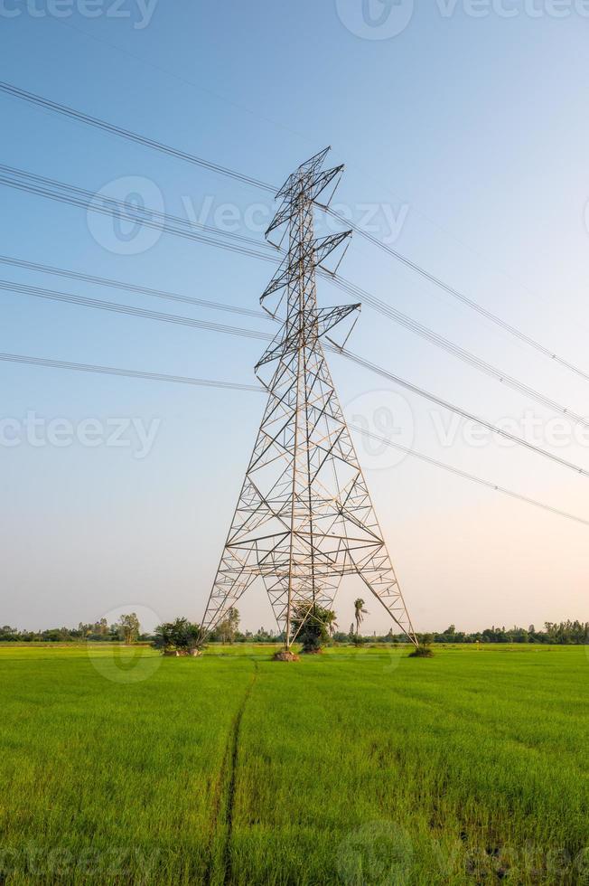 poste de alta tensão, grande torre elétrica de transmissão com cabo no campo de arroz com céu azul na zona rural foto